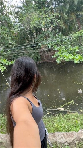 The swamp is full of alligators.