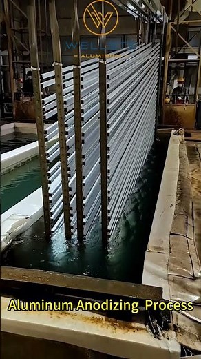 Aluminum Anodizing Process #wellste