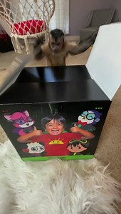 1.9M views · 24K reactions | He unboxed this like a professional  #unboxing Thank you Ryan's World 殺 | Georgie Boy the Monkey | Facebook