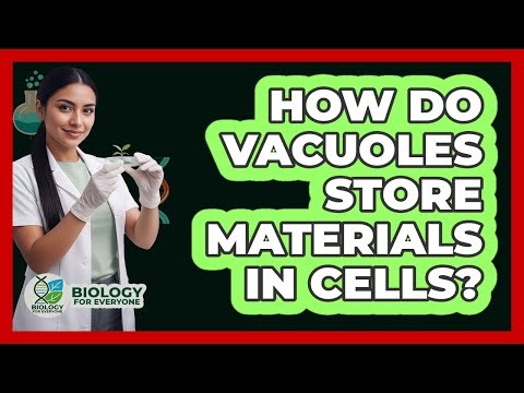 How Do Vacuoles Store Materials In Cells?