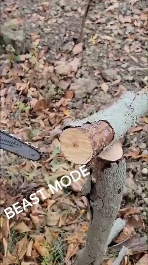 2.3K views | Unmatched Control & Access. M12 FUEL™ HATCHET™ 6＂ Pruning Saw. Video Credit： @toolreviewzone #milwaukeetools #NothingButHeavyDuty | Electrician musk | Facebook