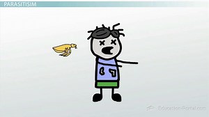 Symbiosis | Definition, Types & Examples