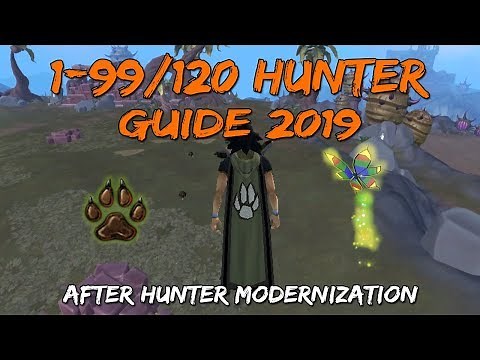 1-99/120 Hunter Guide 2019/2020 | After Hunter Modernization [Runescape 3]