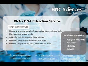 DNA Extraction Explained - DNA Isolation - DNA Extraction Steps - RNA Extraction - BOC Sciences
