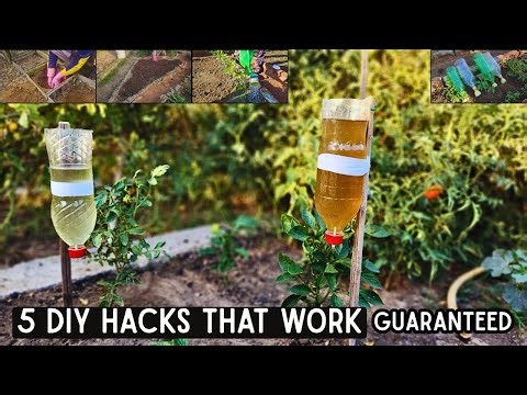 “How I Saved My Garden With Bottles and Kitchen Waste!” 5 best methods You Should try At any Cost.