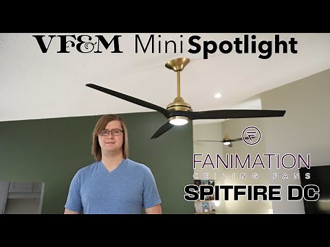 Fanimation Spitfire DC Ceiling Fans | VF&M Mini Spotlight