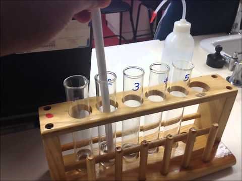 To test the effect of substrate concentration