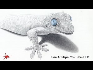 HOW TO DRAW A GECKO - Narrated