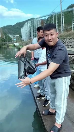 Exploring the Influence of Celebrities Across Cultures