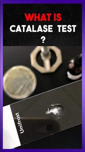 The Catalse Test | Explain
