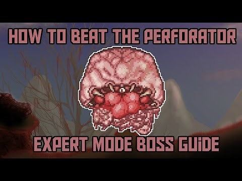 How to beat the Perforator in Terraria! -Calamity Expert Mode Boss Guide!