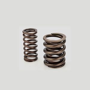 [Hot Item] OEM Customized Engine Valve Compression Spring