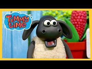 Tidy Timmy | New Timmy Time