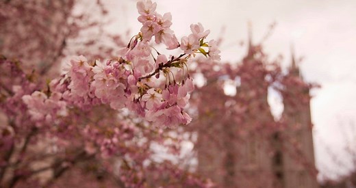 24 of the BEST General Conference Talks of All Time ~ Voted by Readers!