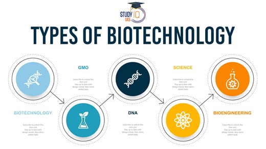 Types of Biotechnology and Their Applications in Detail