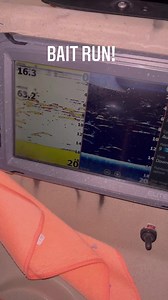 Setting a gill net on the James River for Gizzard Shad is an excellent method of getting your bait for your next catfishing trip! #catchthefever #gillnet #tidalriver #catfishing #sitandwait | Tyler Barnes