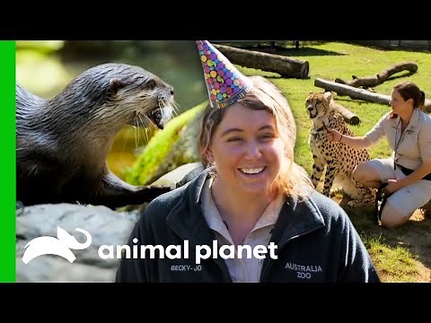 Australia Zoo's Care Programs & Fun Activities! | Crikey! It's The Irwins