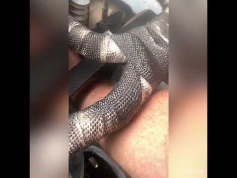 HF Predator 670 8 hour Break in Oil Change