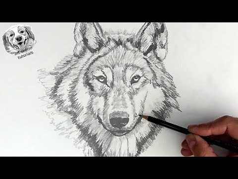 How to Draw a Wolf Face