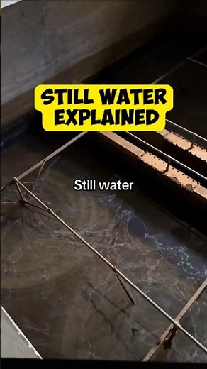 The TikTok "Still Water" Meme Explained