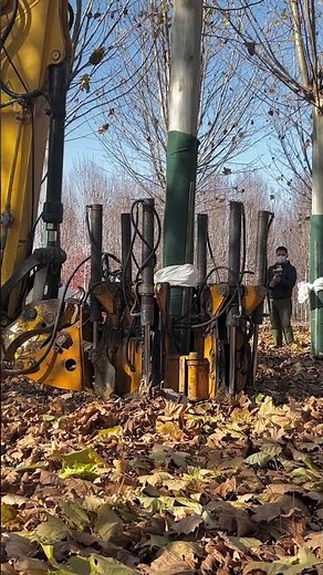Ultimate Tree Digging Machine | Evergreen & Nursery Tree Digger Pro
