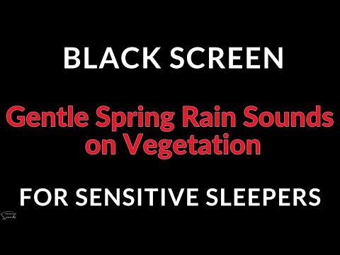 The Ultimate Gentle Spring Rain Sounds on Vegetation for Sensitive Sleepers | ASMR Rain For Sleeping