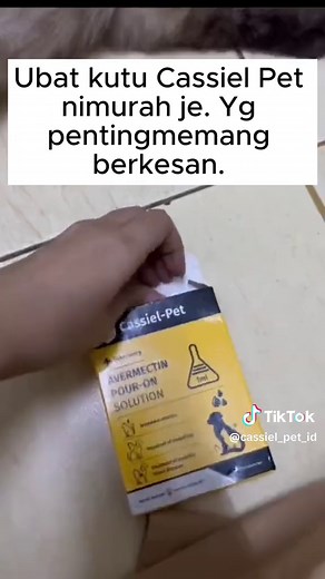 Pet deworming is a must, let me test it for you first#cassiel #cassielpet #pet s1