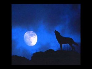 Wolf howling at night sound effect