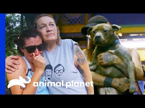 Hurricane Forces Villalobos to Evacuate | Pit Bulls & Parolees