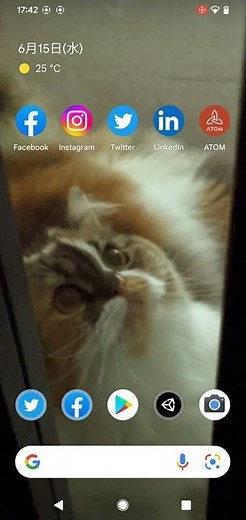 ARCore Geospatial API Demo: Tap To Place of Object and Reproduction of Its Position