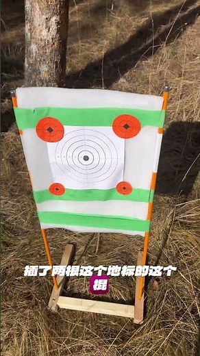 初试Ruger 10/22 75周年/ Vortex 2-7x32 Crossfire II