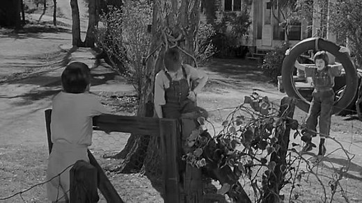 To Kill a Mockingbird (1962).mp4