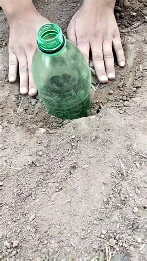 Water Bottle vs Cracker💥 | Crazy Mini Explosion Experiment#viral