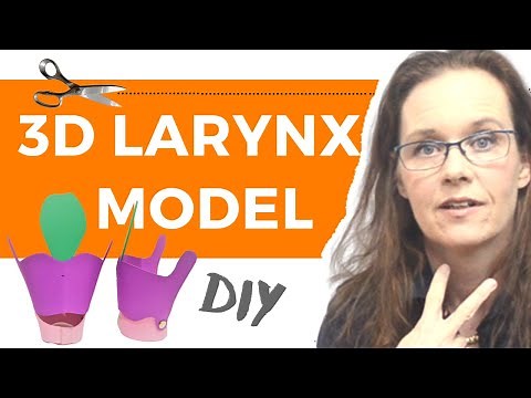 How to Make a 3D Larynx Model (DIY Instructions + FreeTemplate)