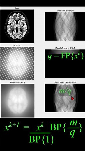 Iterative Image Reconstruction