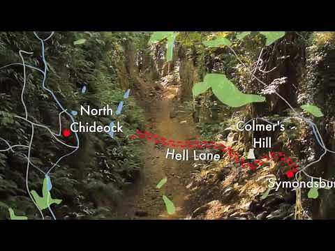 Best Walks With A View - Dorset Route Overview