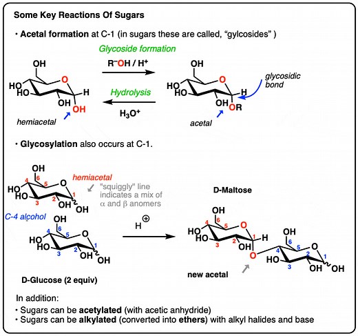 Key Reactions Of Sugars: Glycosylation and Protection