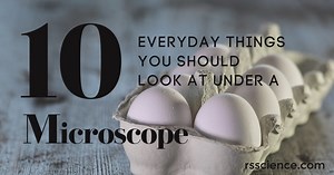 10 Everyday Things You Should Look at Under a Microscope