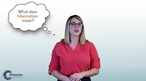 Ask & Answer Questions to Understand Informational Text