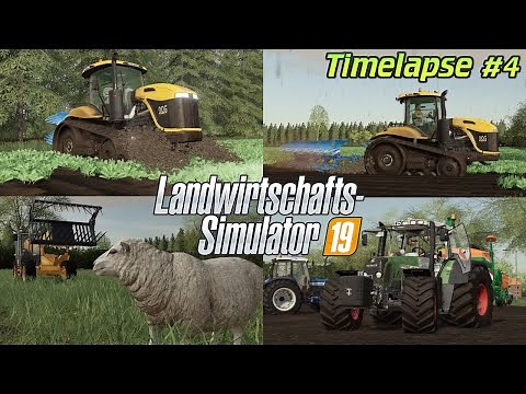 STARKREGEN - wir saufen ab! 😥 Pflügen und säen im SCHLAMM?!🚜💨| [LS19] - Timelapse #4 Hollandscheveld