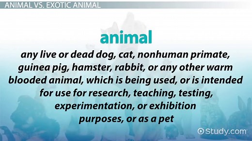 Exotic Animals | Definition, Names & Types