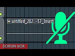 FL Studio doesn't record microphone (solution)