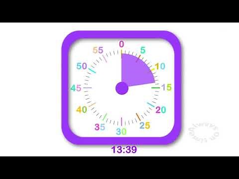 20 minute visual timer