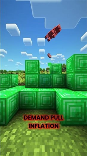 Inflation | Explain Using Minecraft #5
