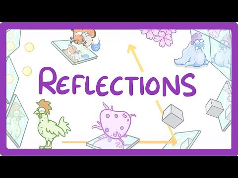 GCSE Physics - Reflection