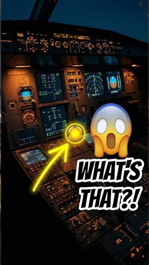 The Secret Button Pilots Never Tell You About