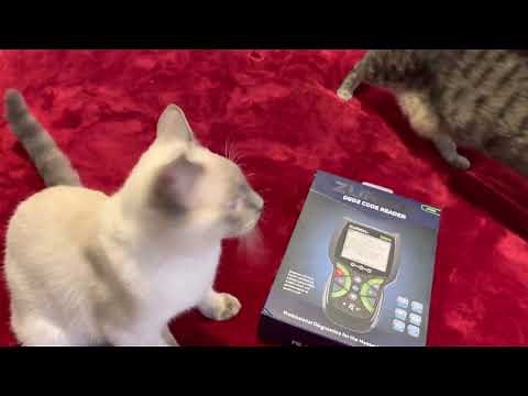 ZURICH OBD2 ZR8S FROM HARBOUR FREIGTH