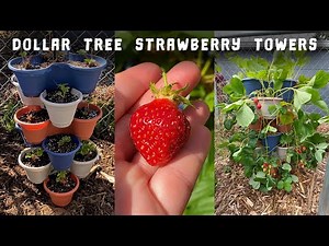 How to Make a Dollar Tree Strawberry Tower | Grow Strawberries Vertically in a DIY Stackable Planter