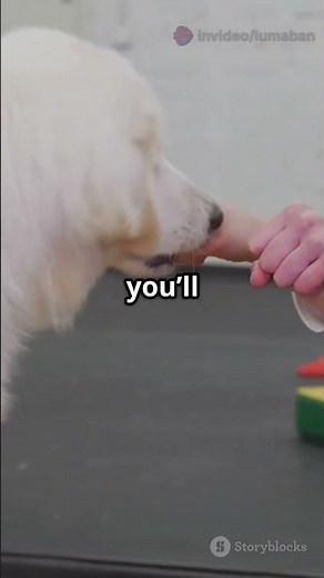 Unlocking the Secrets of Operant Conditioning! 🧠✨