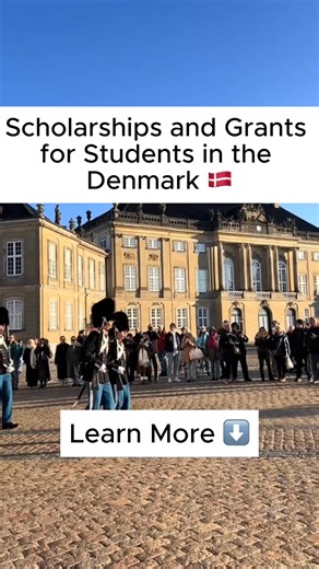 Learn More About Denmark 🇩🇰 Scholarships for International Students. | The Learning Compass
